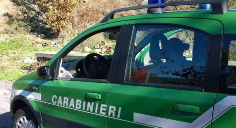 Campagna “Bosco Sicuro 2023”: sanzioni per oltre 15mila euro